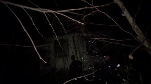 Когда построил дом и не живёшь там 20 лет вот что будет дом в лесу