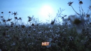 Интересные факты о цветах(Цветов,о которых речь идет на видео,в этом видео нет).
