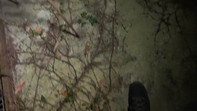 ДИМА МАСЛЕННИКОВ НОЧЬ В ЗАБРОШЕНОЙ ЯПОНСКОЙ ЛАБОРАТОРИИ!!!