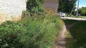 23-08-2026  добрый день. Светлана Николаевна спасибо