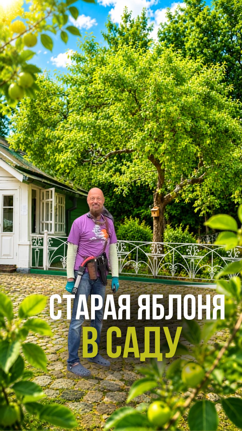 Старая яблоня в саду