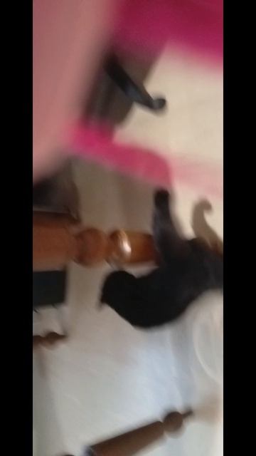 играем с бусильдой