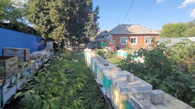 ф.96. отобрал медовые надставки теперь обработки и подготовка к зимовке.