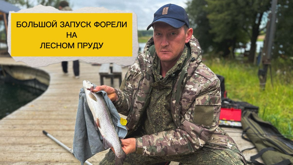 Большое зарыбление форели на лесном пруду!