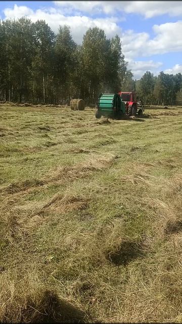 рождение рулона