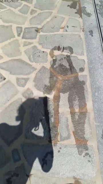 Просто прикольно!
