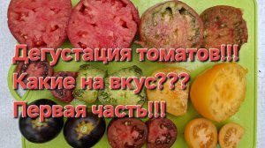 Конец лета!!! Дегустация томатов!!! Какие сладкие,какие пресные!???