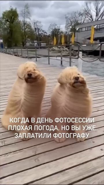 Да фоткай как есть😒!))
