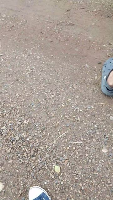 Бой Дамира и Роберта отпишитесь от Роберта в лайке