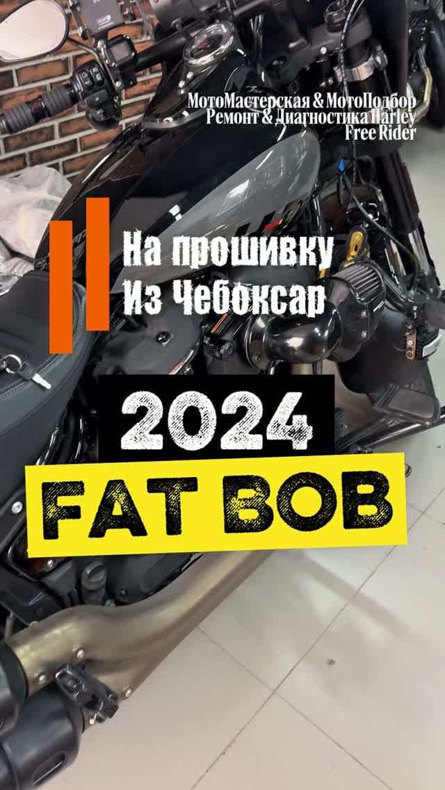 Harley Fat Bob 2024 из Чебоксар на прошивку