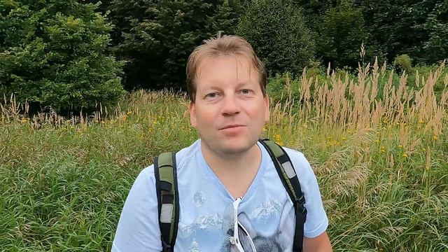 Почему в лесу нельзя слепо доверять навигатору и GPS?