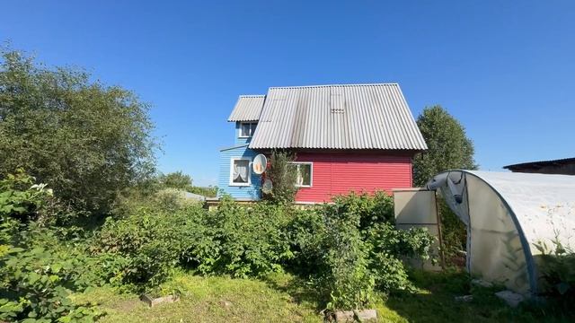 Сары-Чумыш, Таежная