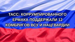 |Н. РФ| ТАСС: коррумпированного Ермака поддержали 12 комбригов ВСУ и Нацгвардии