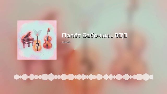 Полёт Бабочки... 🦋