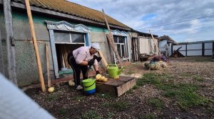 вторая половина дня/вот это расценка у Олега😆/ дела сельские