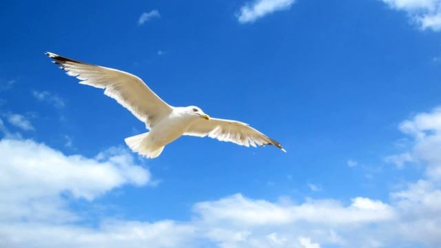 Полёт