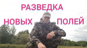 удачная разведка новых полей