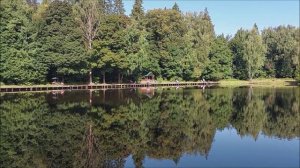Утренний обзор с нижнего водоёма. Клёвое место, Лосиный остров.
