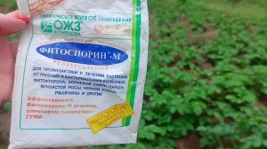 Профилактика Фитофтороза 2026