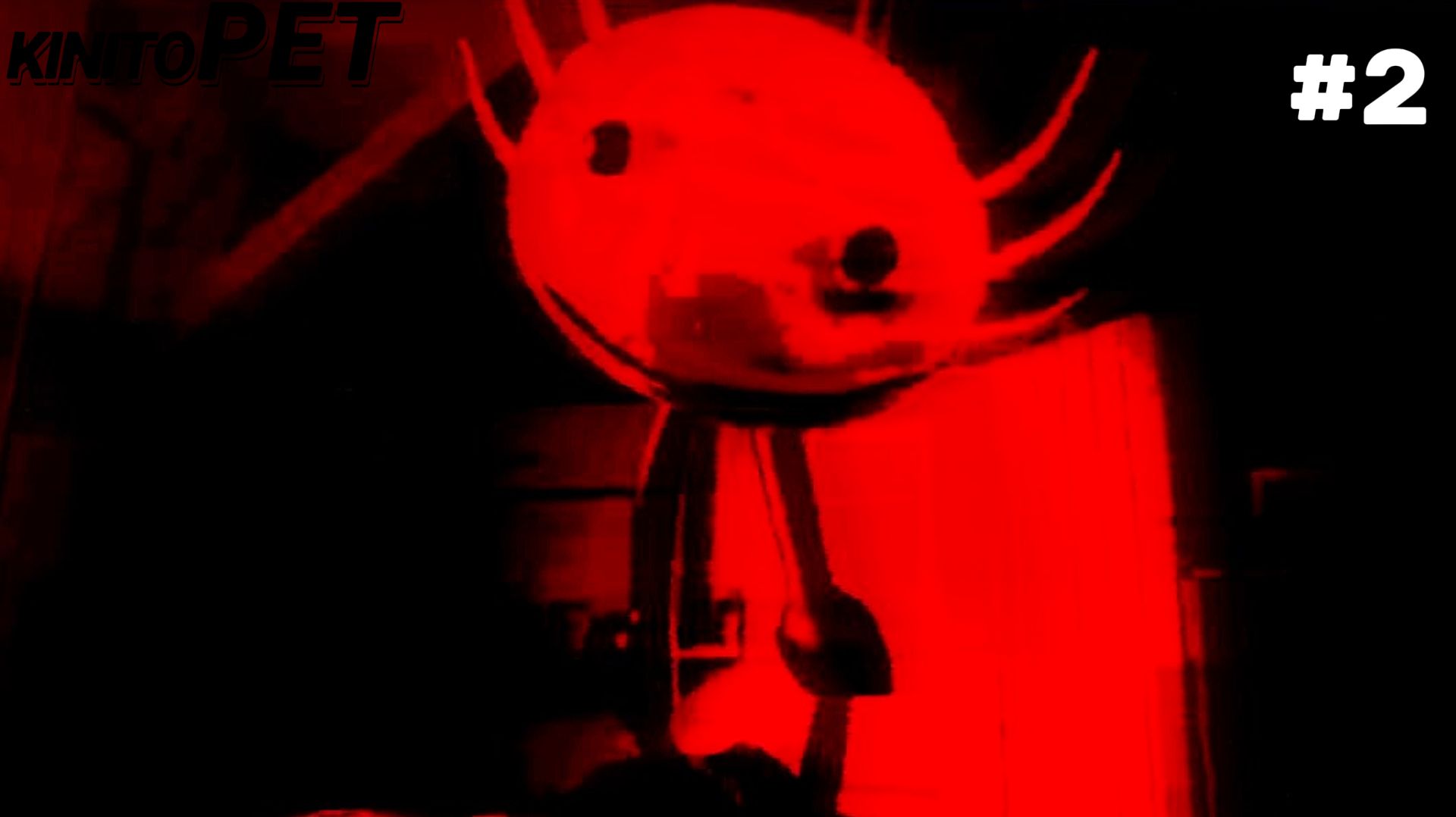 Финал  KinitoPET 2