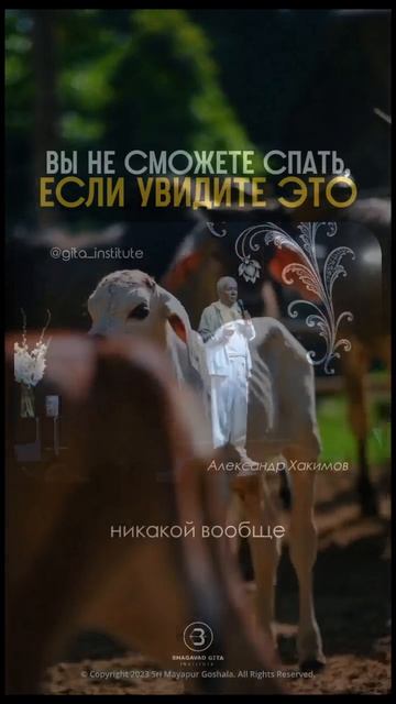 Вы не сможете спать, если увидите это