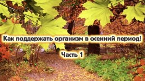 Прямой эфир .«Как поддержать наш организм межсезонье.»
