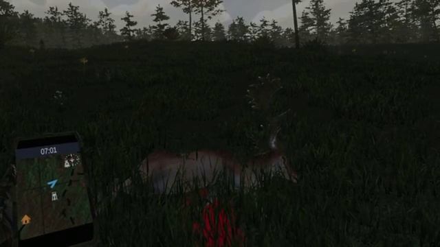 Virtual Hunter VR