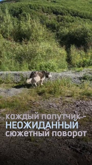 Поздравляем с Днем Рождения ГЕОРГИЯ ТЫМНЕТАГИНА!