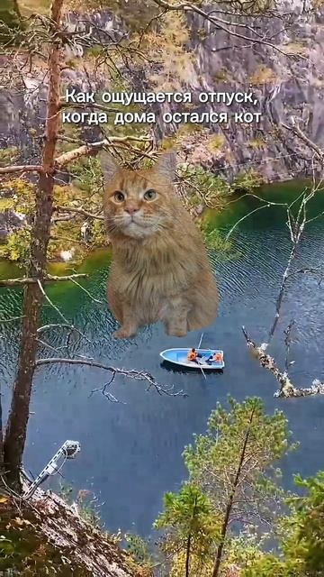 Я всегда думаю о тебе