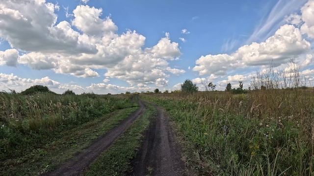 Вдоль Сока у Белозерок 22.08.2026