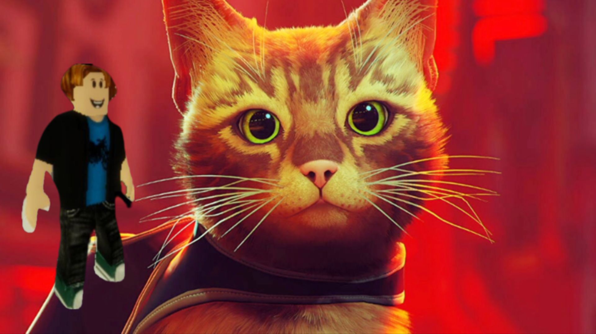 ПРИКЛЮЧЕНИЯ БЕЗДОМНОГО КОТА! РАЗНЫЕ МАЛЕНЬКИЕ ГОЛОВОЛОМКИ! Бездомный кот! ПРОШЁЛ 3 ЧАСТИ!