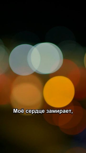 Город, огни и одна мысль 🌧