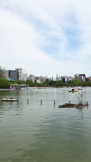 В парке Токио, Япония