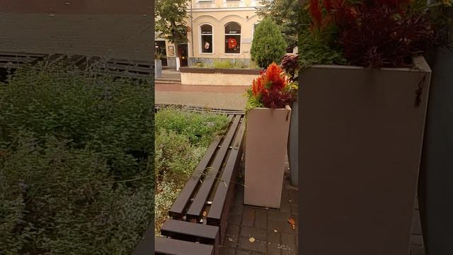 VID_20260823_092749Орел.ул.Ленина.Август