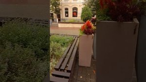 VID_20260823_092749Орел.ул.Ленина.Август