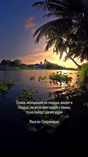 Говорите от сердца и развивайтесь с нами! Ваш Yoga Journey