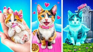 Я спасла котенка! Лайфхаки для владельцев животных