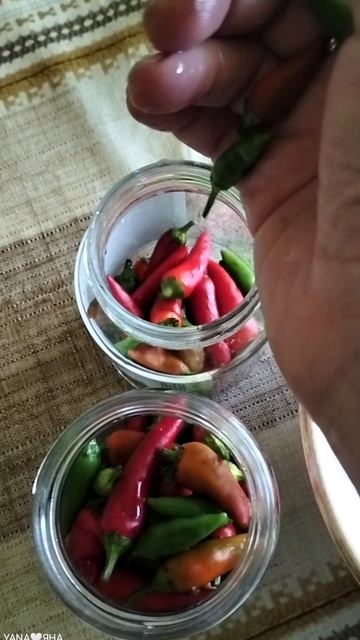 🌶️ Остренькое дополнение к наваристому борщу 😉👌)))