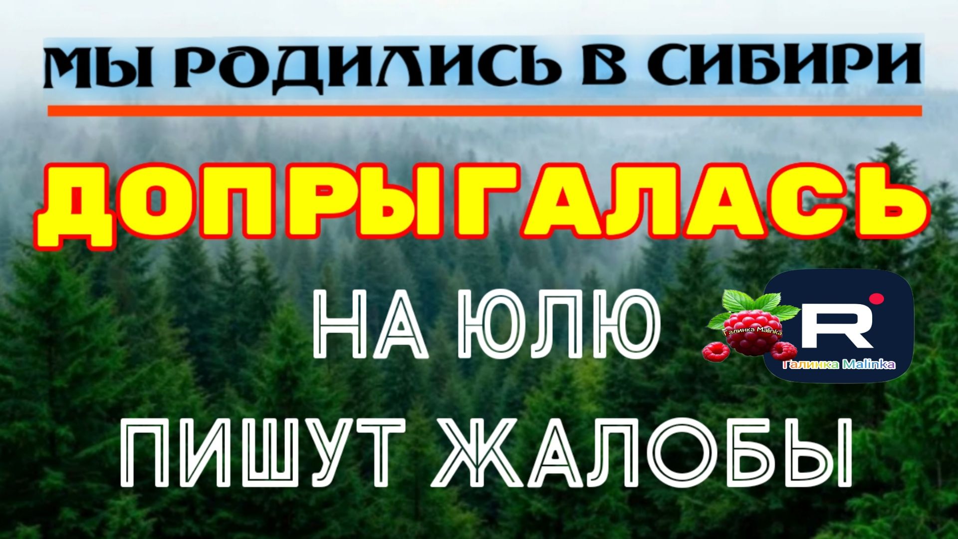 Допрыгалась /На Юлю пишут Жалобы /Мы родились в Сибири Обзор