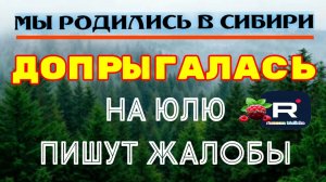 Допрыгалась /На Юлю пишут Жалобы /Мы родились в Сибири Обзор