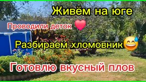 23-08-2026/Кубань/Живём на юге/Проводили детей/Накопилось дел/Благоустройство кладовой/Готовлю плов/