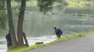 Утро на водоёме