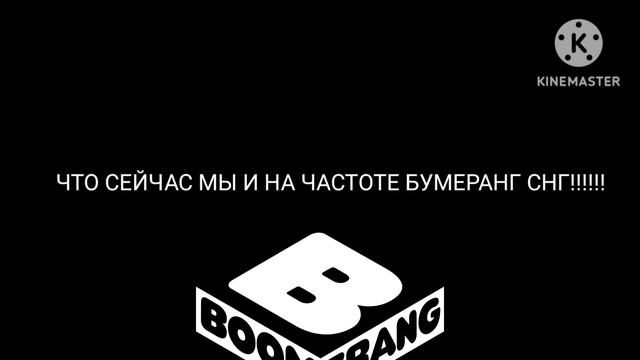 Предпоследняя заставка до конца блока Эдалт свим(Boomerang,2017)