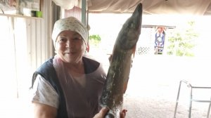 Я сегодня закупилась // такую рыбу первый раз купила // наш ужин //