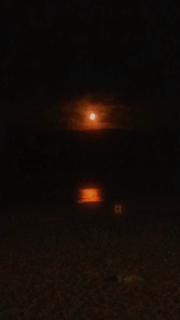 Красивое зрелище🌒