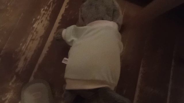 шок!! ваня упал и поранил лапу