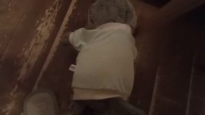 шок!! ваня упал и поранил лапу