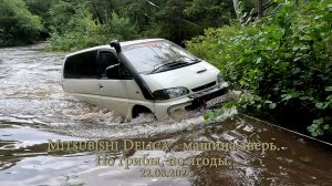 Mitsubishi Delica машина зверь. По грибы, по ягоды. 22.08.2026