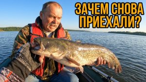 Рыбалка 2026 на Волге ОХОТА НА СОМА Ловля Сома на Квок Природа Снасти Монтаж