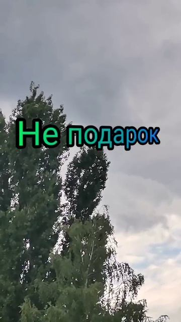 Не подарок, слушать сборник жми сюда 👇👇👇